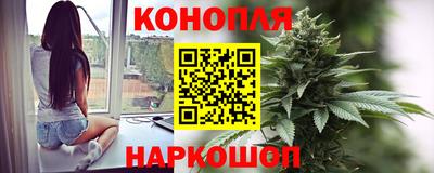 ALPHA PVP Гусев
