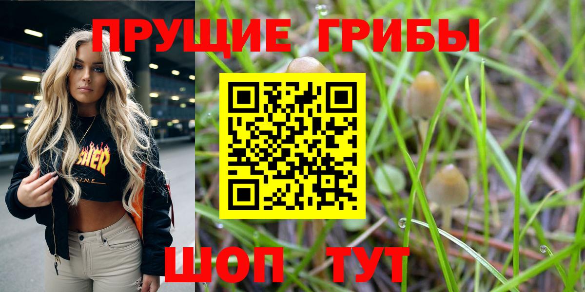 Галлюциногенные грибы GOLDEN TEACHER Кизилюрт
