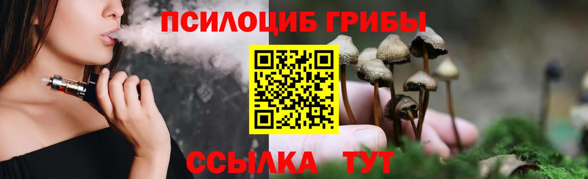 Кизилюрт  Псилоцибиновые грибы MAGIC MUSHROOMS  Вход с VPN 